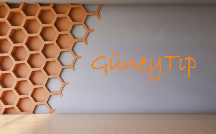 güney tıp